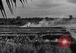Image of Operation Junction City South Vietnam, 1967, second 51 stock footage video 65675068950