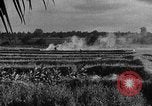 Image of Operation Junction City South Vietnam, 1967, second 52 stock footage video 65675068950