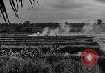Image of Operation Junction City South Vietnam, 1967, second 53 stock footage video 65675068950