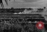 Image of Operation Junction City South Vietnam, 1967, second 54 stock footage video 65675068950