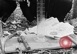 Image of Operation Junction City South Vietnam, 1967, second 3 stock footage video 65675068951