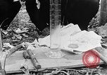 Image of Operation Junction City South Vietnam, 1967, second 4 stock footage video 65675068951