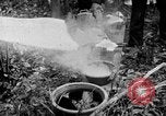 Image of Operation Junction City South Vietnam, 1967, second 15 stock footage video 65675068951