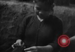 Image of Operation Junction City South Vietnam, 1967, second 46 stock footage video 65675068951