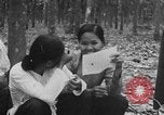 Image of Operation Junction City South Vietnam, 1967, second 14 stock footage video 65675068952
