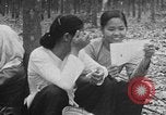 Image of Operation Junction City South Vietnam, 1967, second 17 stock footage video 65675068952