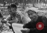 Image of Operation Junction City South Vietnam, 1967, second 59 stock footage video 65675068952