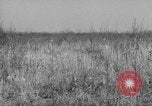 Standbild Sanierungsverfahren Maryland United States USA, 1942, aus Sekunde 48 historischem Filmmaterial Videoclip 65675068956