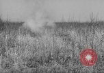 Standbild Sanierungsverfahren Maryland United States USA, 1942, aus Sekunde 49 historischem Filmmaterial Videoclip 65675068956