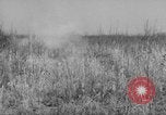 Standbild Sanierungsverfahren Maryland United States USA, 1942, aus Sekunde 50 historischem Filmmaterial Videoclip 65675068956