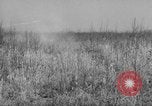 Standbild Sanierungsverfahren Maryland United States USA, 1942, aus Sekunde 51 historischem Filmmaterial Videoclip 65675068956
