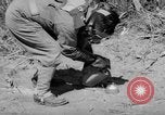 Standbild Sanierungsverfahren Maryland United States USA, 1942, aus Sekunde 52 historischem Filmmaterial Videoclip 65675068956