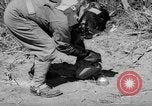 Standbild Sanierungsverfahren Maryland United States USA, 1942, aus Sekunde 53 historischem Filmmaterial Videoclip 65675068956