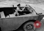 Standbild aqua Cheetah Maryland United States USA, 1942, aus Sekunde 34 historischem Filmmaterial Videoclip 65675068957