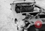 Standbild aqua Cheetah Maryland United States USA, 1942, aus Sekunde 60 historischem Filmmaterial Videoclip 65675068957
