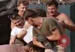 Image of combat control team Vietnam, 1969, second 13 stock footage video 65675068961