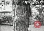 Image of John Calvin Coolidge New York United States USA, 1926, second 1 stock footage video 65675068981