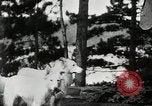 Image of John Calvin Coolidge New York United States USA, 1926, second 10 stock footage video 65675068981