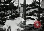 Image of John Calvin Coolidge New York United States USA, 1926, second 11 stock footage video 65675068981