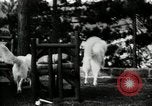 Image of John Calvin Coolidge New York United States USA, 1926, second 16 stock footage video 65675068981