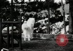 Image of John Calvin Coolidge New York United States USA, 1926, second 18 stock footage video 65675068981