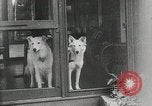 Image of President Calvin Coolidge on vacation New York United States USA, 1926, second 14 stock footage video 65675068982