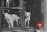Image of President Calvin Coolidge on vacation New York United States USA, 1926, second 16 stock footage video 65675068982