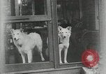 Image of President Calvin Coolidge on vacation New York United States USA, 1926, second 17 stock footage video 65675068982