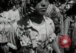 Image of Chinese Nationalist military exercises Formosa, 1950, second 23 stock footage video 65675068983