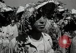 Image of Chinese Nationalist military exercises Formosa, 1950, second 25 stock footage video 65675068983