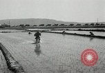 Image of Chinese Nationalist military exercises Formosa, 1950, second 57 stock footage video 65675068983