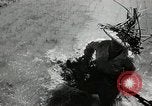 Image of Chinese Nationalist military exercises Formosa, 1950, second 61 stock footage video 65675068983