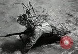 Image of Chinese Nationalist military exercises Formosa, 1950, second 62 stock footage video 65675068983