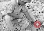 Image of reconstruction of Berlin Berlin Germany, 1952, second 56 stock footage video 65675068993