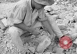 Image of reconstruction of Berlin Berlin Germany, 1952, second 57 stock footage video 65675068993