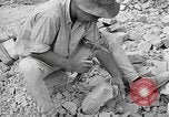 Image of reconstruction of Berlin Berlin Germany, 1952, second 60 stock footage video 65675068993