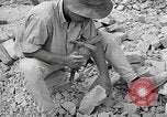 Image of reconstruction of Berlin Berlin Germany, 1952, second 61 stock footage video 65675068993