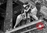 Image wrecked Konzerthaus Berlin Allemagne, 1945, de la seconde 55 séquences d'archives historiques vidéo 65675069000