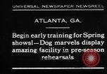 Immagine di Dog show prove Atlanta Georgia USA, 1930, secondo 1 filmato di repertorio 65675069014