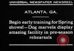 Immagine di Dog show prove Atlanta Georgia USA, 1930, secondo 4 filmato di repertorio 65675069014