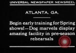 Immagine di Dog show prove Atlanta Georgia USA, 1930, secondo 6 filmato di repertorio 65675069014