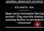 Immagine di Dog show prove Atlanta Georgia USA, 1930, secondo 8 filmato di repertorio 65675069014