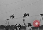 Immagine di Dog show prove Atlanta Georgia USA, 1930, secondo 23 filmato di repertorio 65675069014