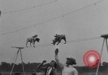 Immagine di Dog show prove Atlanta Georgia USA, 1930, secondo 24 filmato di repertorio 65675069014