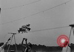 Immagine di Dog show prove Atlanta Georgia USA, 1930, secondo 30 filmato di repertorio 65675069014