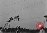 Immagine di Dog show prove Atlanta Georgia USA, 1930, secondo 31 filmato di repertorio 65675069014