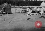 Immagine di Dog show prove Atlanta Georgia USA, 1930, secondo 38 filmato di repertorio 65675069014