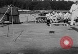 Immagine di Dog show prove Atlanta Georgia USA, 1930, secondo 39 filmato di repertorio 65675069014