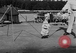 Immagine di Dog show prove Atlanta Georgia USA, 1930, secondo 48 filmato di repertorio 65675069014