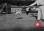 Immagine di Dog show prove Atlanta Georgia USA, 1930, secondo 49 filmato di repertorio 65675069014